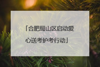 合肥蜀山区启动爱心送考护考行动